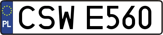 CSWE560