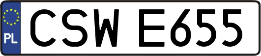 CSWE655