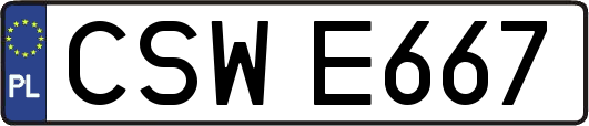 CSWE667