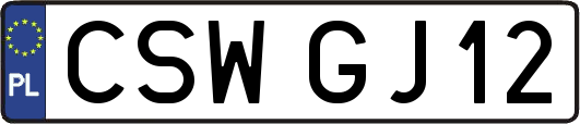 CSWGJ12