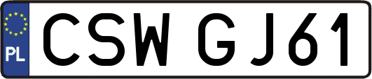 CSWGJ61