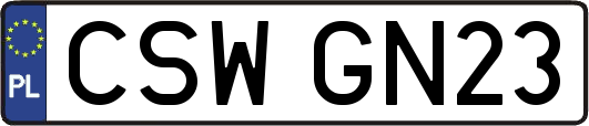 CSWGN23