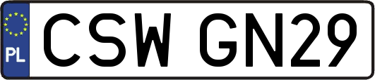 CSWGN29