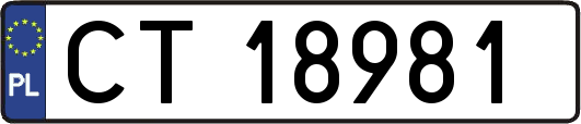 CT18981