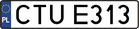 CTUE313