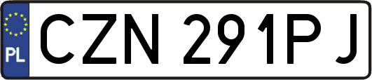 CZN291PJ