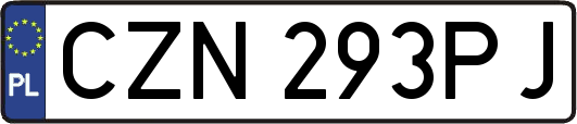 CZN293PJ