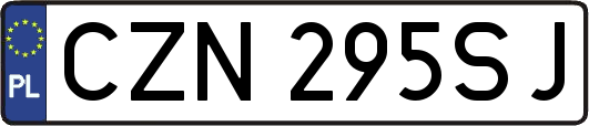 CZN295SJ