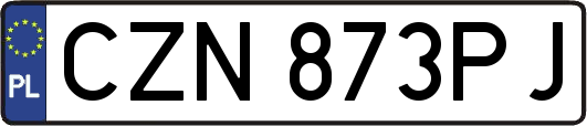 CZN873PJ