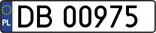 DB00975