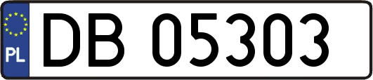 DB05303
