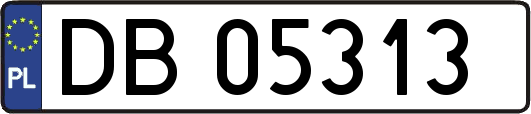 DB05313