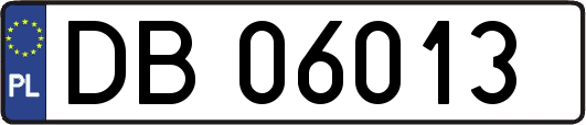 DB06013