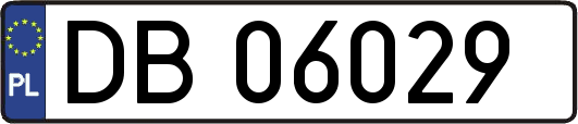 DB06029