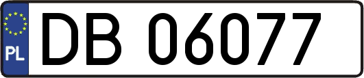 DB06077