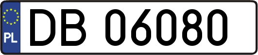 DB06080