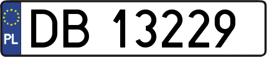 DB13229