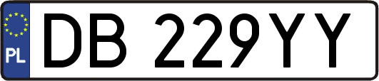 DB229YY