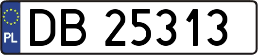 DB25313