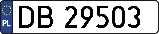 DB29503