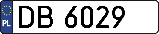 DB6029