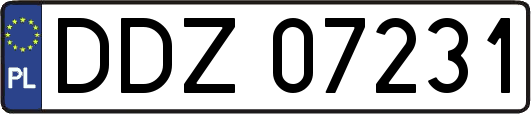 DDZ07231