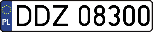 DDZ08300