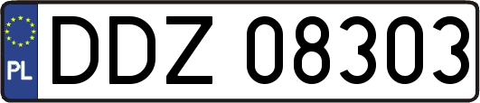 DDZ08303