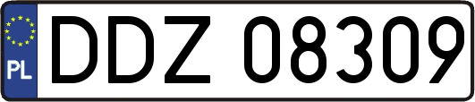 DDZ08309