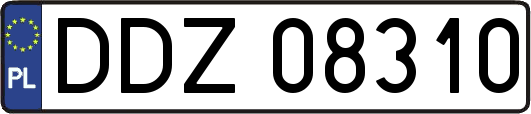 DDZ08310