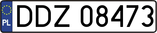 DDZ08473