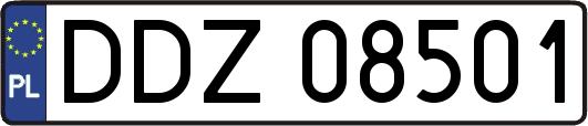 DDZ08501