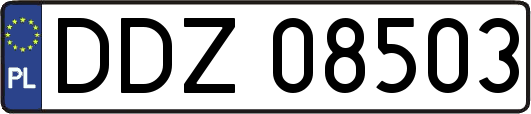 DDZ08503