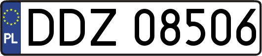 DDZ08506