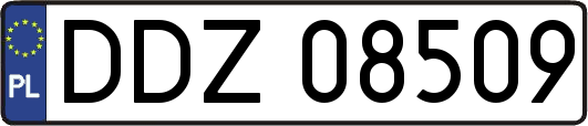 DDZ08509