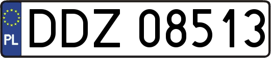 DDZ08513