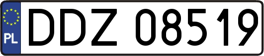 DDZ08519