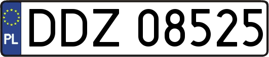 DDZ08525