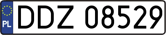 DDZ08529