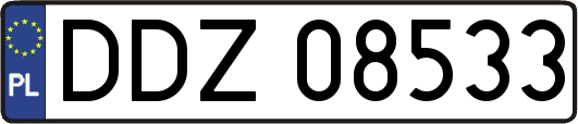 DDZ08533