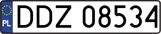 DDZ08534