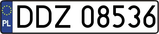 DDZ08536