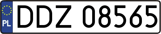 DDZ08565