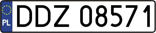 DDZ08571