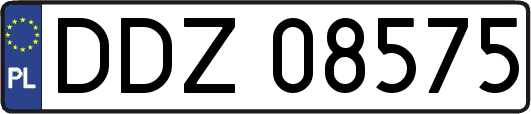 DDZ08575