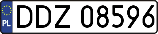 DDZ08596