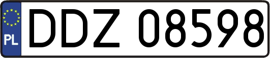 DDZ08598