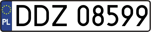 DDZ08599