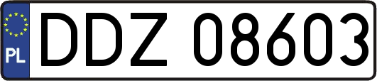 DDZ08603