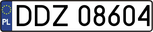 DDZ08604